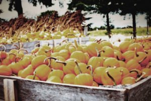 Not What They Used To Be